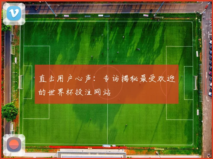 直击用户心声：专访揭秘最受欢迎的世界杯投注网站