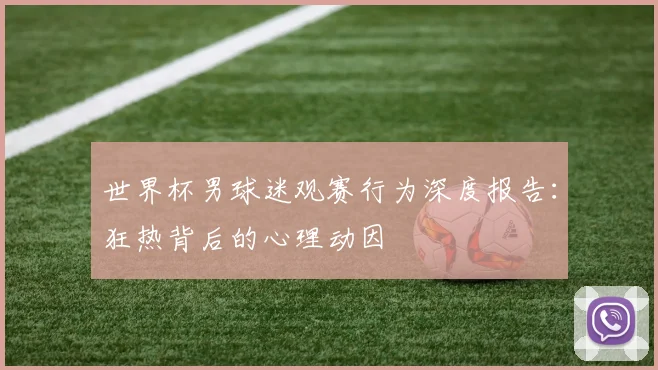 世界杯男球迷观赛行为深度报告:狂热背后的心理动因